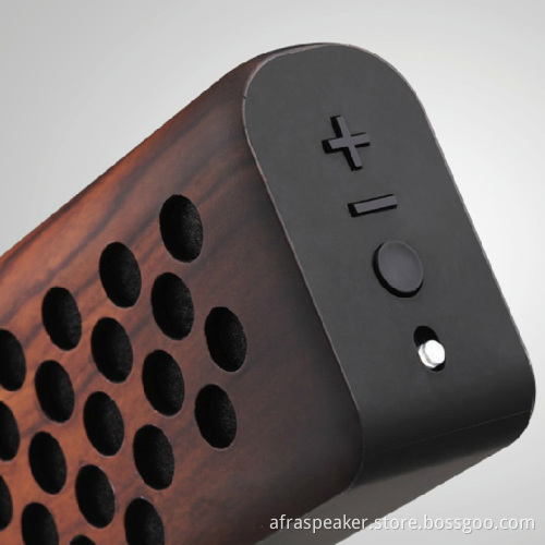 Portable Speaker